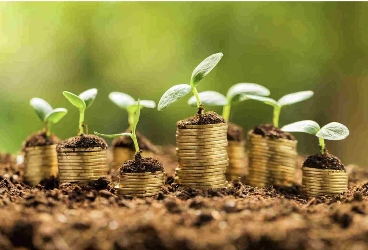 Simple Money Tips with a Smart Green Approach