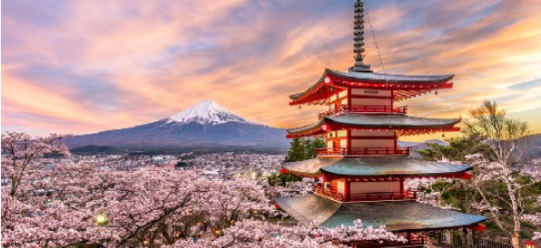 Everything You Need to Budget for Japan Tour Cost From India in Advance